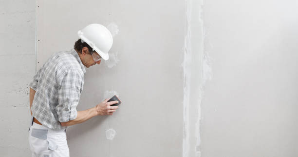 Best Fire-Damaged Drywall Repair  in Wacousta, MI